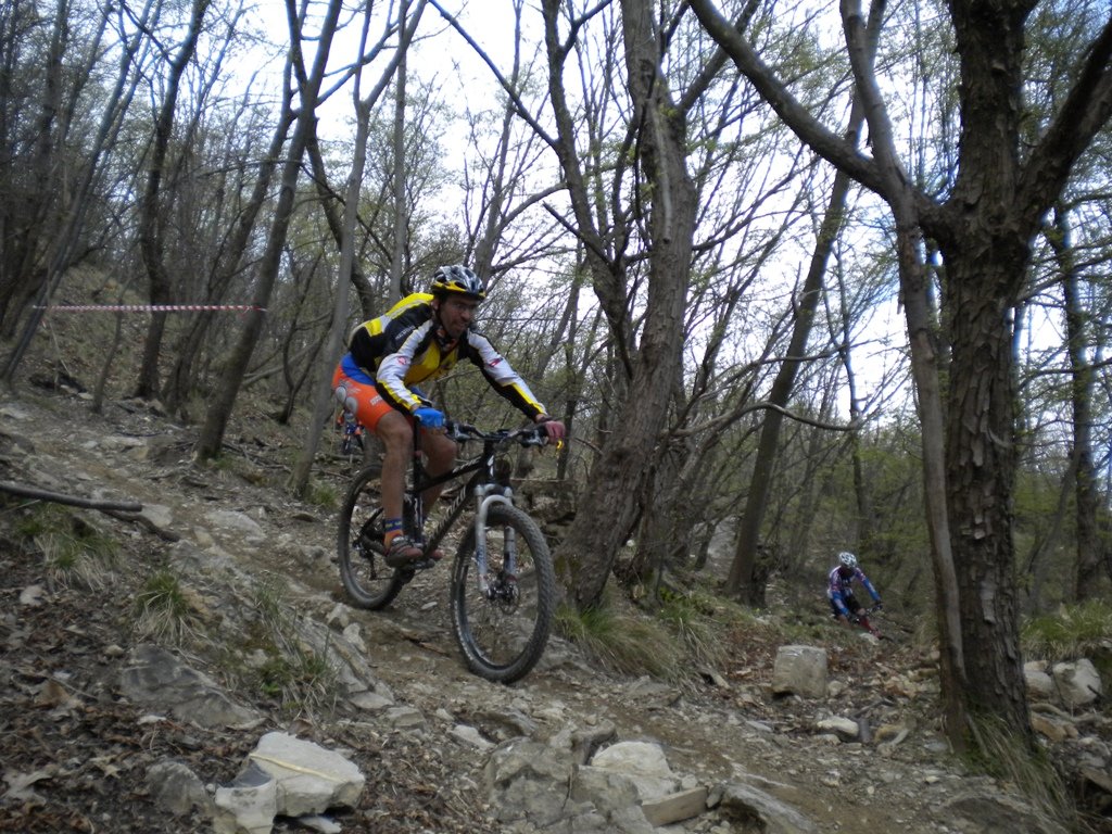 dscn0400.jpg