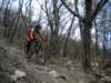 dscn0401_small.jpg