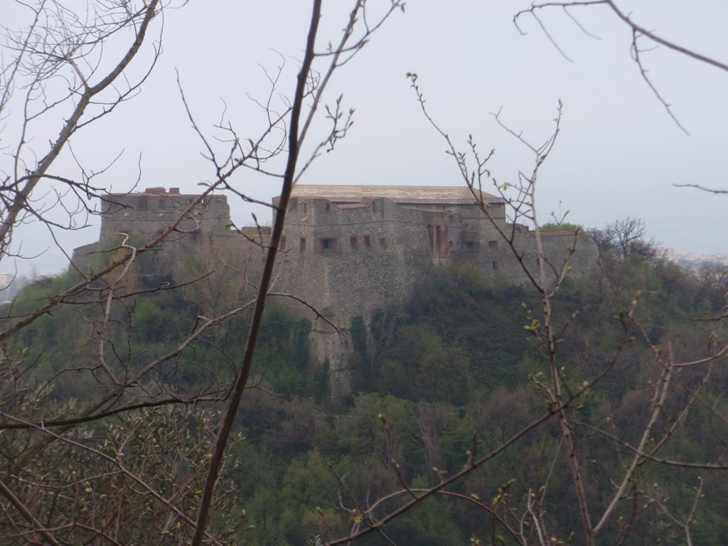 p4110341.jpg
