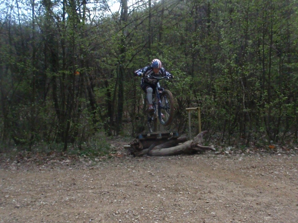 p4110530.jpg