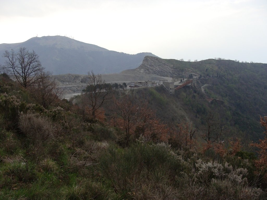 dsc03311.jpg