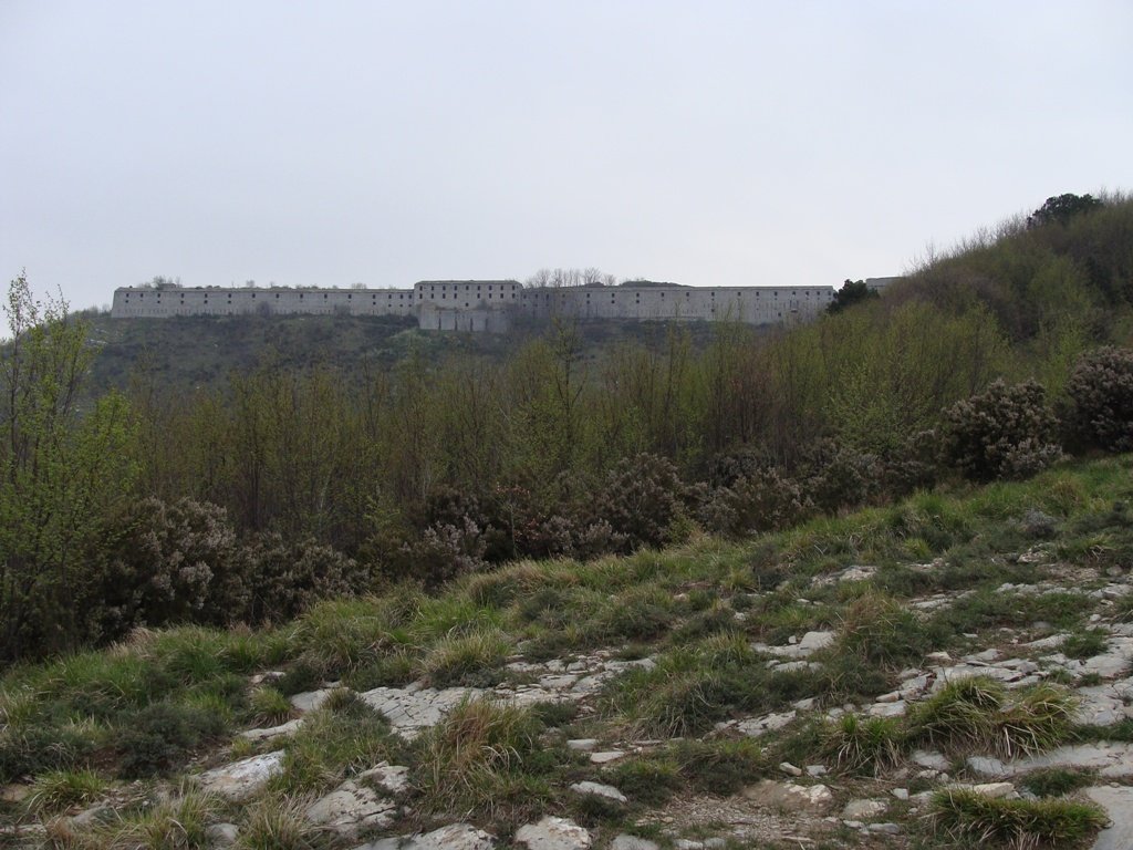 dsc03313.jpg