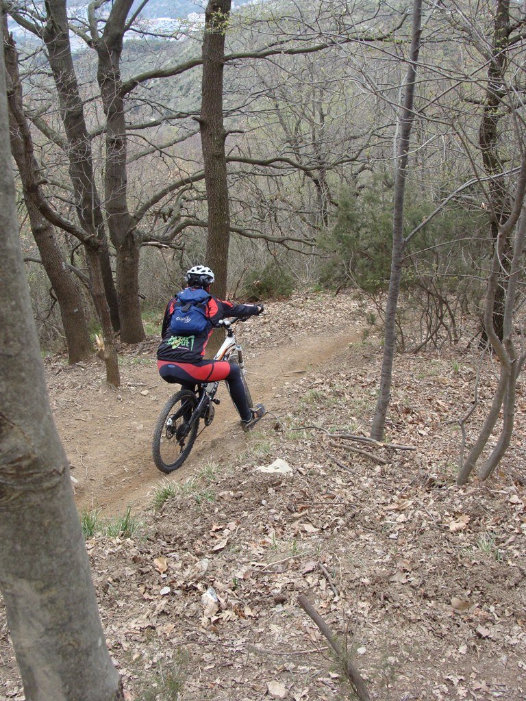 dsc03362.jpg