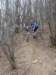 dsc03400_small.jpg
