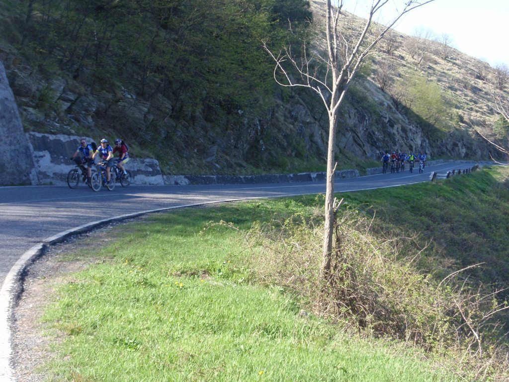 p4180072.jpg