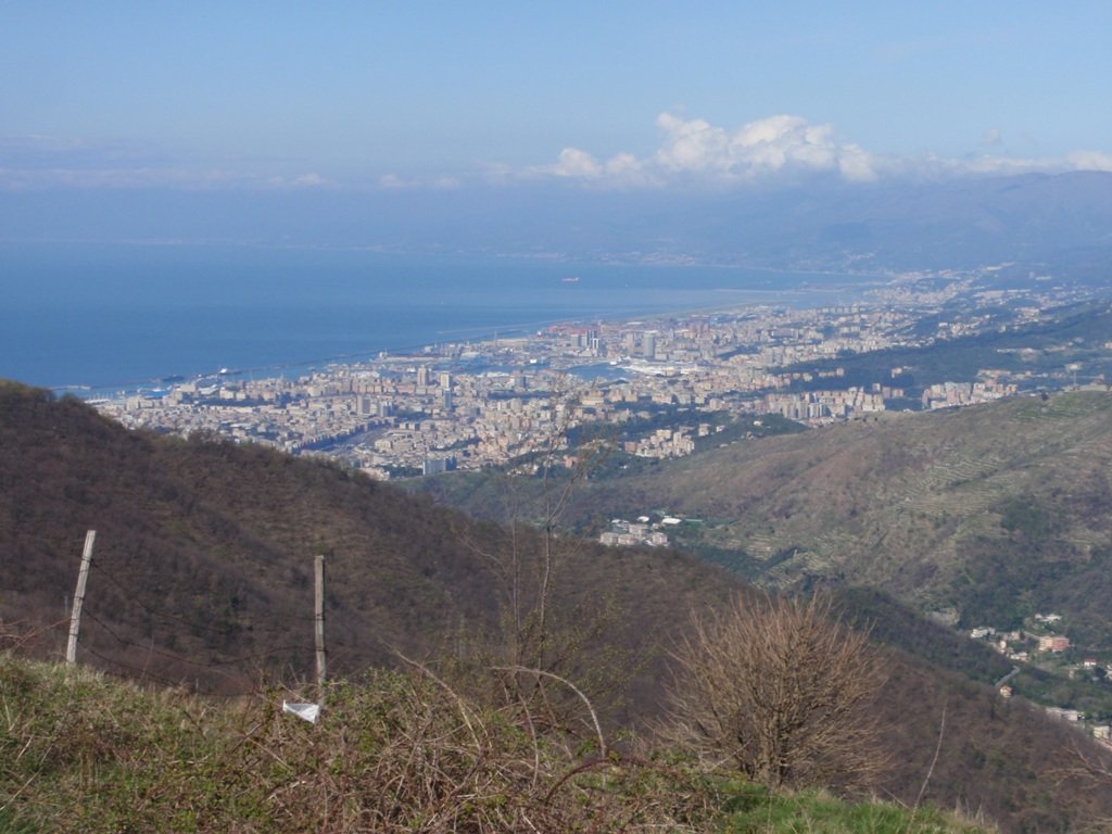 p4180079.jpg
