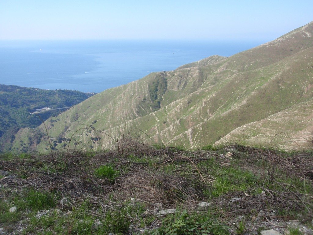p4180100.jpg