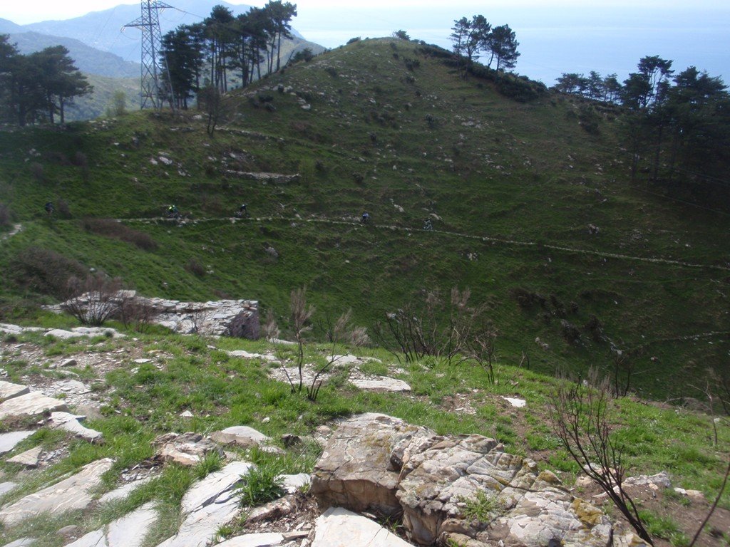 p4180142.jpg