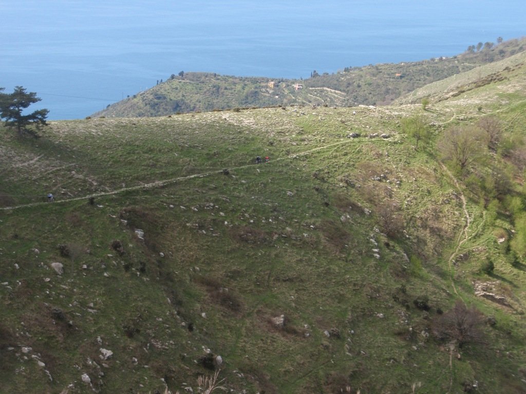 p4180143.jpg