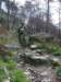 dsc03741_small.jpg