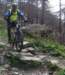 dsc03742_small.jpg