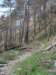 dsc03760_small.jpg