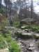 dsc03767_small.jpg
