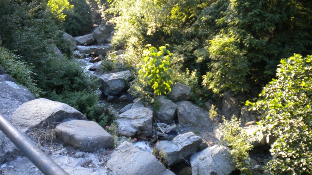 dscn1472.jpg