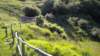 dscn1498_small.jpg