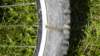 dscn1499_small.jpg