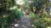 dscn1500_small.jpg