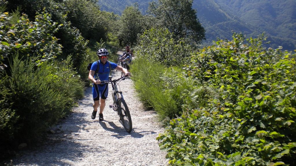 dscn1504.jpg