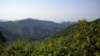 dscn1505_small.jpg
