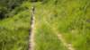 dscn1506_small.jpg