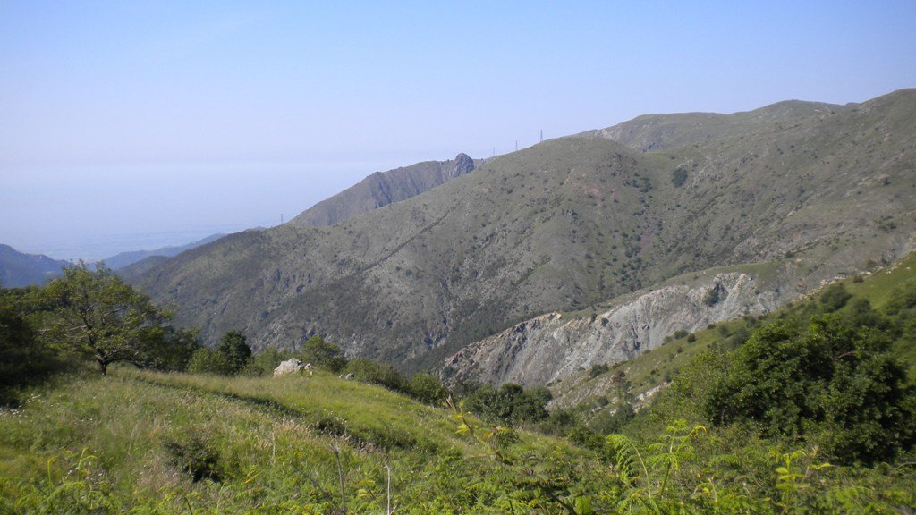 dscn1511.jpg