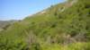 dscn1514_small.jpg