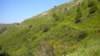 dscn1515_small.jpg