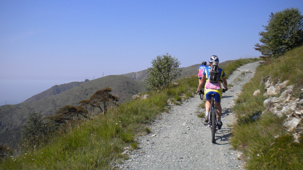 dscn1517.jpg