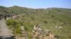 dscn1530_small.jpg