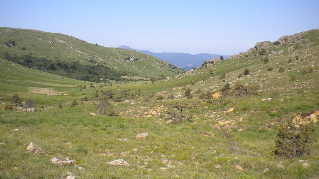 dscn1531.jpg