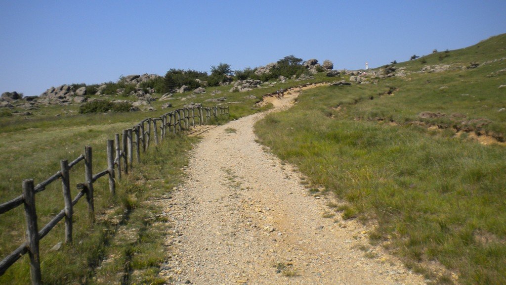 dscn1537.jpg