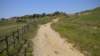 dscn1537_small.jpg