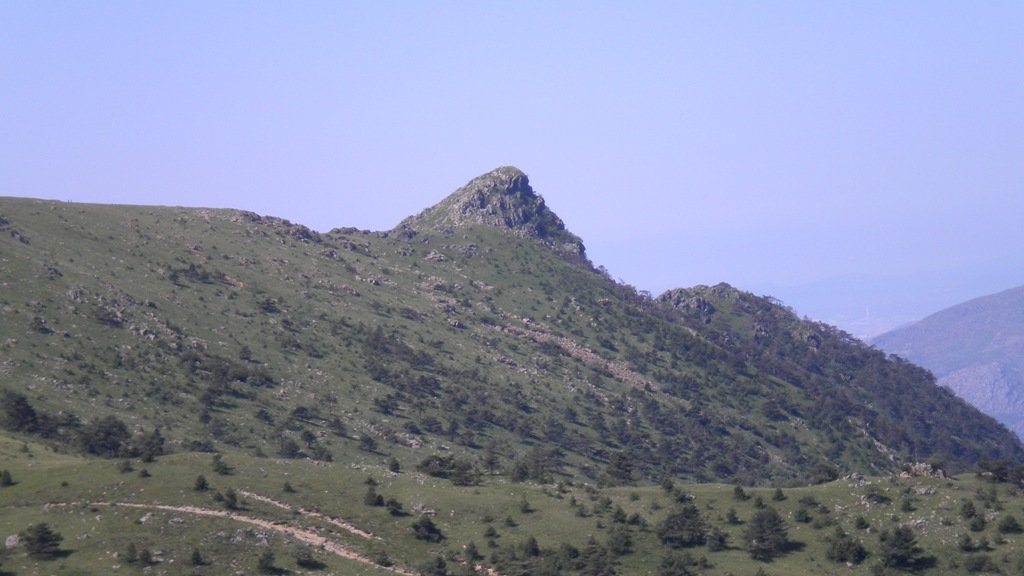 dscn1540.jpg