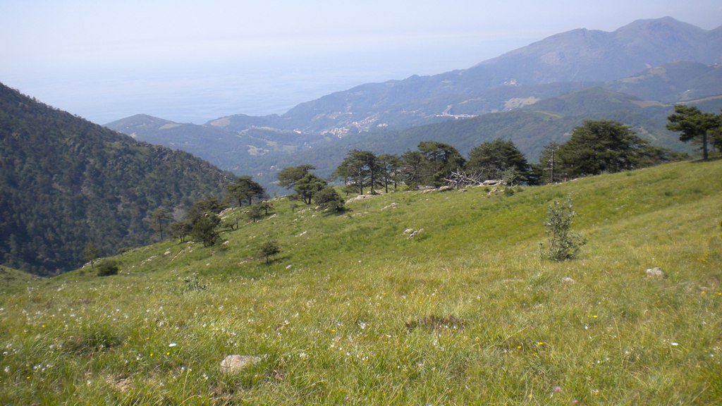 dscn1562.jpg