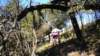 dscn2356_small.jpg