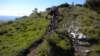 dscn2363_small.jpg