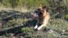 dscn2365_small.jpg