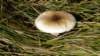 dscn2374_small.jpg