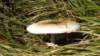 dscn2375_small.jpg