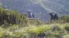 dscn2377_small.jpg