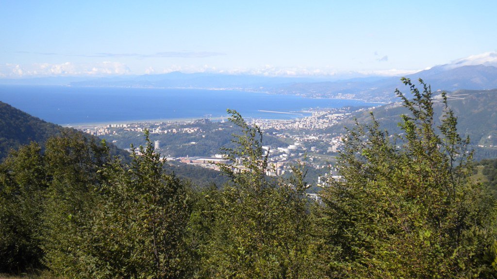 dscn2379.jpg