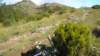 dscn2380_small.jpg