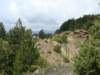 dsc05103_small.jpg