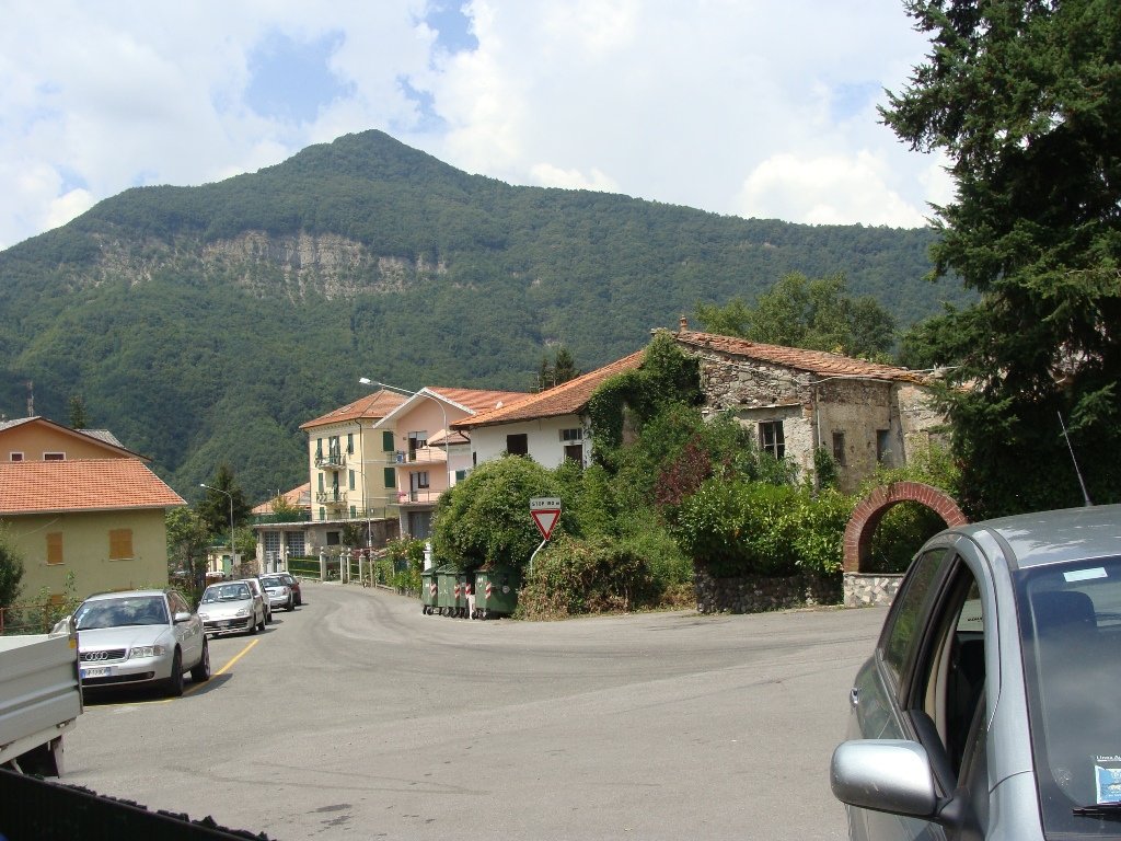 dsc05117.jpg