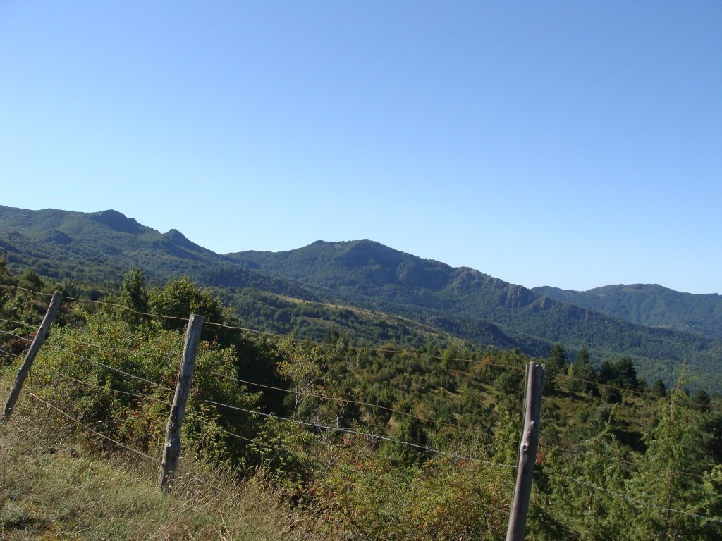 dsc05244.jpg