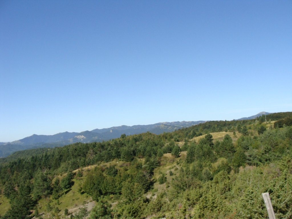 dsc05246.jpg