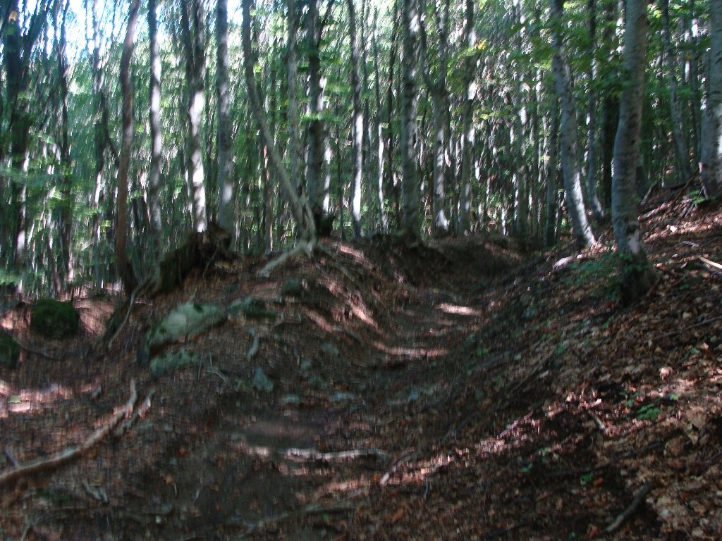 dsc05259.jpg