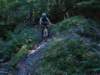 dsc05274_small.jpg