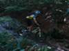 dsc05276_small.jpg