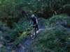 dsc05277_small.jpg